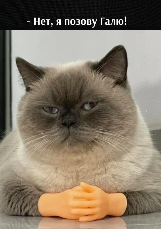 Вы приняты😃