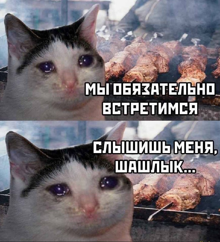 Шашлык можно есть максимум три раза за всё лето.
Так заявил эксперт, сославшись на канцерогены, кот