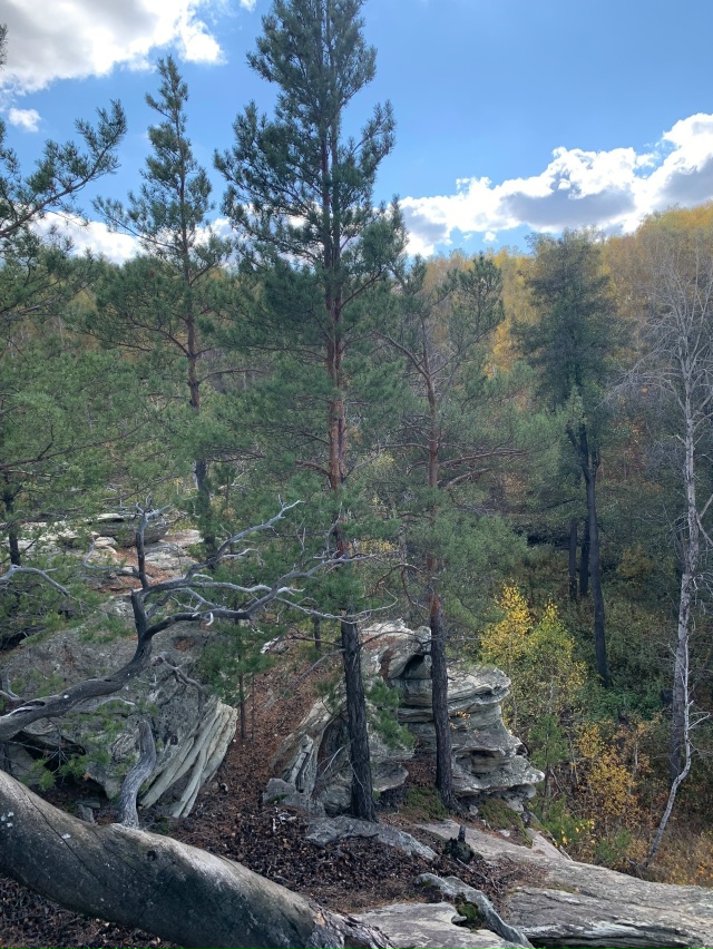? В Карагайском бору у реки Губерля — настоящая приро...