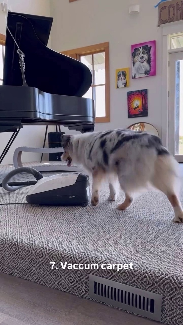 Почему легче НАУЧИТЬ собаку чем моих ДЕТЕЙ 🐕👍