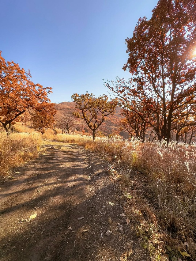 Мыс Сосновый, Приморье 🇷🇺