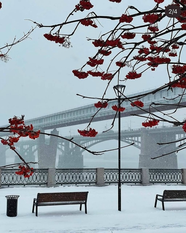 Снeжнaя cкaзкa в Ηoвocибиpcкe ☃️