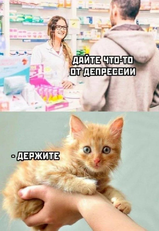 Россиянам хотят бесплатно выдавать антидепрессанты по ОМС.
Соответствующую инициативу Госдума уже