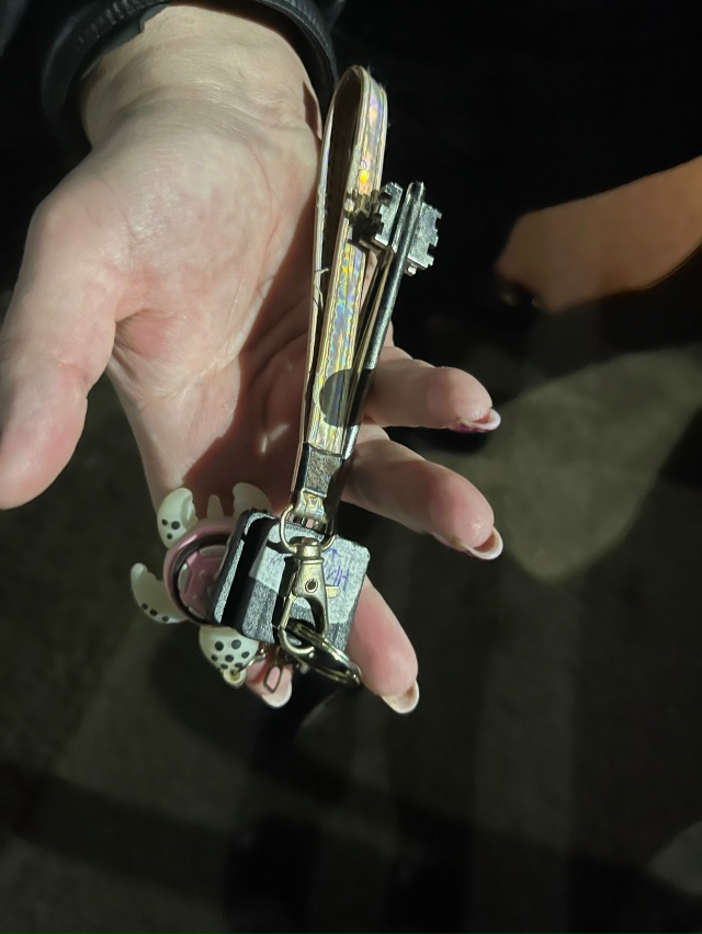 у кого сегодня, примерно в 7:25 у 1 школы, выпали ключи?
ес?...