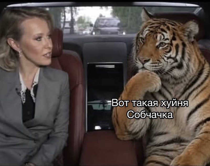я в 12 ночи, давая воображаемые интервью у себя в голове