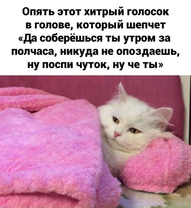 У кого так же?