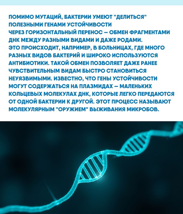 Мутации и горизонтальный перенос делают борьбу с усто?...