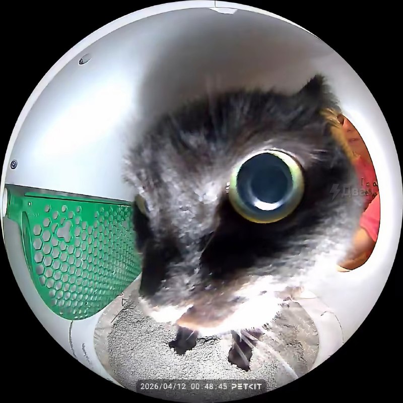 Вас заметили