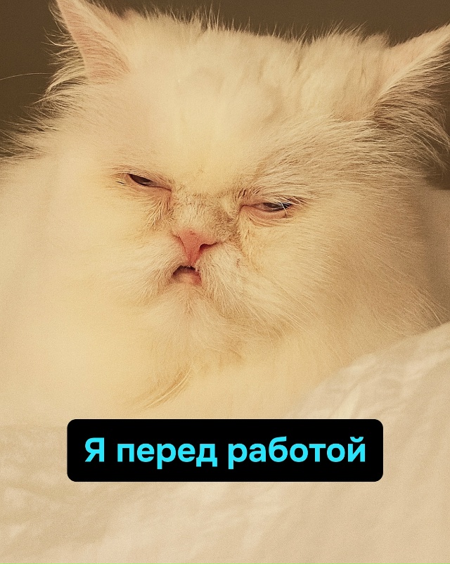 Каждый день как три акта трагикомедии: устал, выгорел, ?...