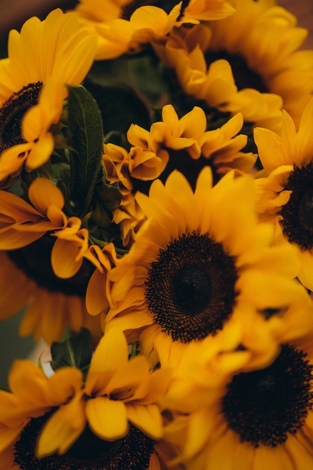 erid: 2VtzqxjbqMy
PARTY BUBBLES ждёт Вас за уникальными композициями...