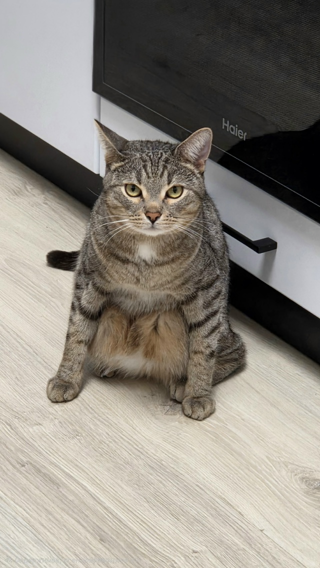 Ничего удивительного, просто ровный пацанчик с района?...