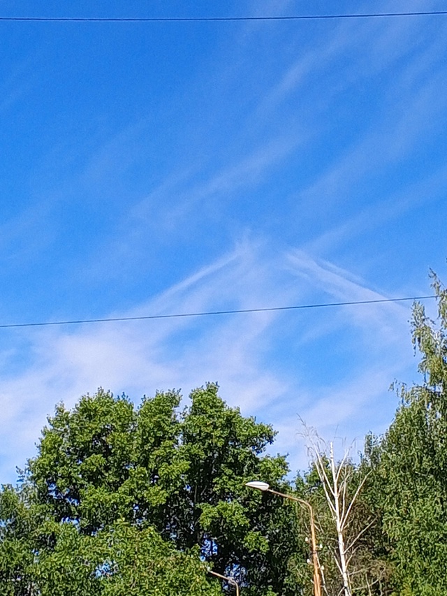 Перистые облака перемена погоды ожидается.