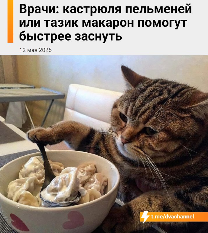 Съесть кастрюлю пельменей или таз макарон на ночь — рабочий способ заснуть быстрее, рассказали врачи