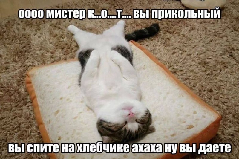 Утренняя подборочка