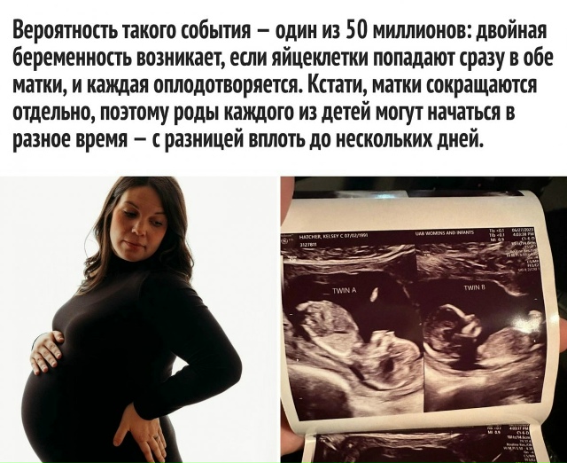 Это феноменально все😅