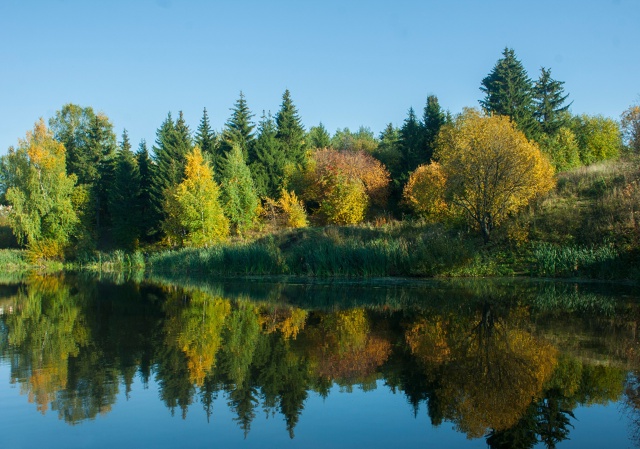 Вот так менялось одно и тоже место в течении месяца (фо?...