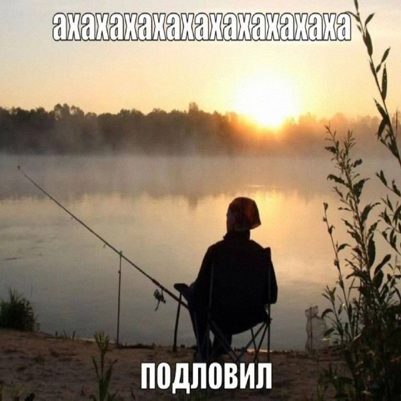 Утренняя подборочка