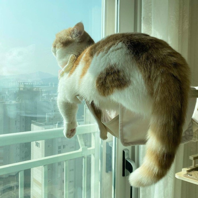 - Вась, Васяяяя
- Ты уже 15 минут тупо смотришь в окно.