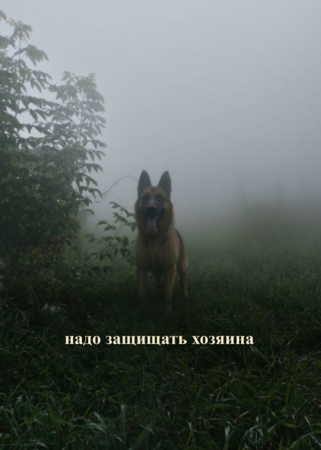 Вот и думайте 😁