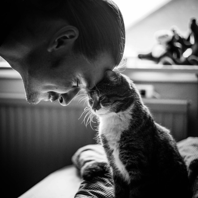 Когда кошка трётся о ногу или садится на колени, у чело?...