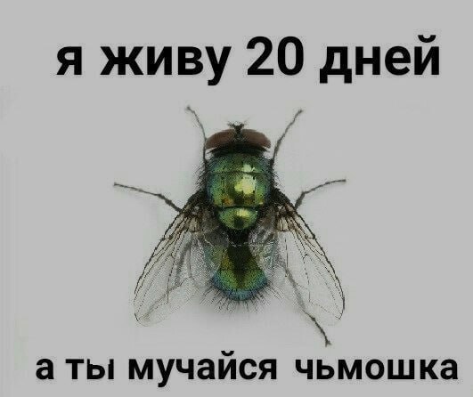 Ночная подборочка
Спать, режим