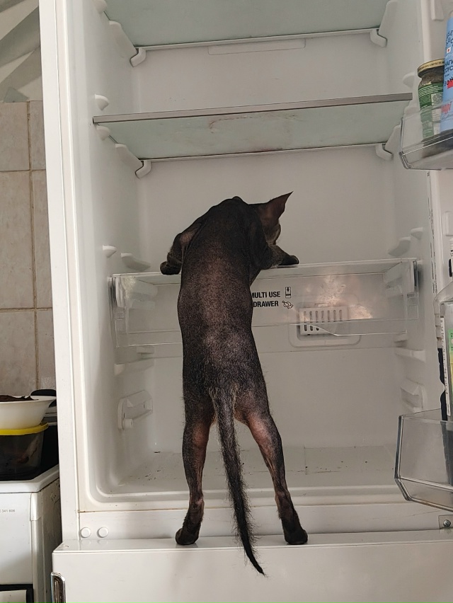 Вездесущие всратыши♥️♥️♥️