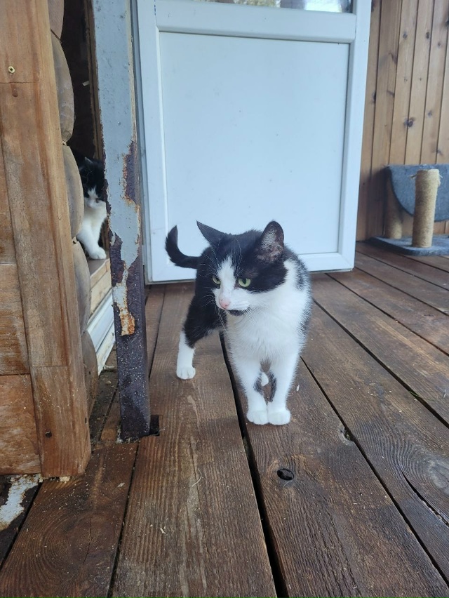 ‼️СРОЧНО
МОСКВА И МОСКОВСКАЯ ОБЛАСТЬ‼️
?Доставим ?...