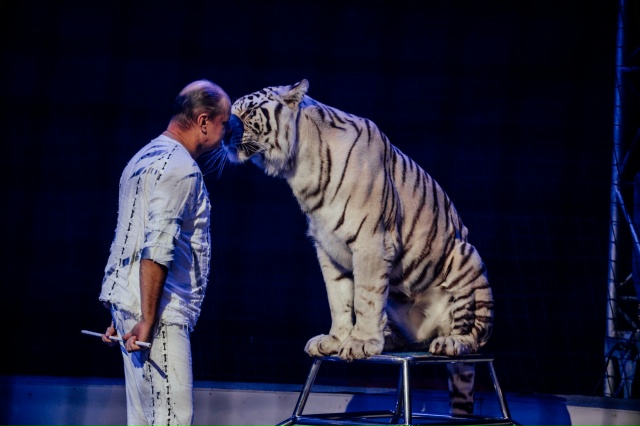 [club184069340|Белые тигры] в Смоленске! 🐾
22 ноября (сб) в 12:00 ?...