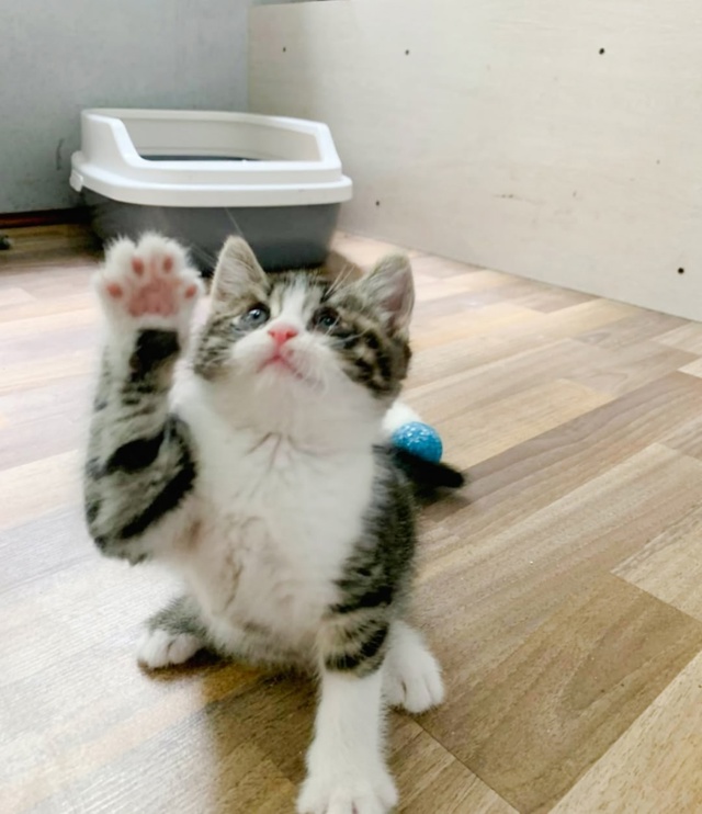 Друзья, привет от #котятасвокзальной
Со страхом и опас?...