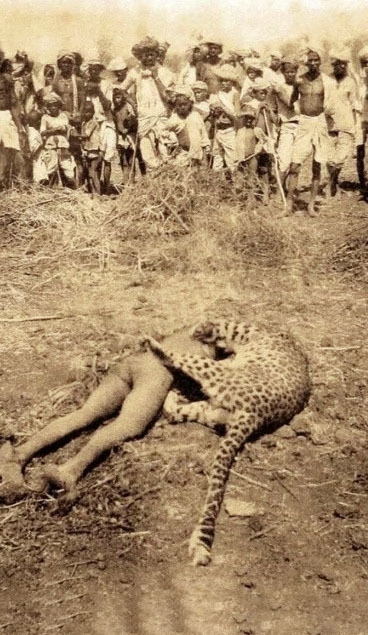 Зacтpeлeнный бpитaнcκим οфицepοм У. Α. Κοндуитοм лeοпapд-людο...