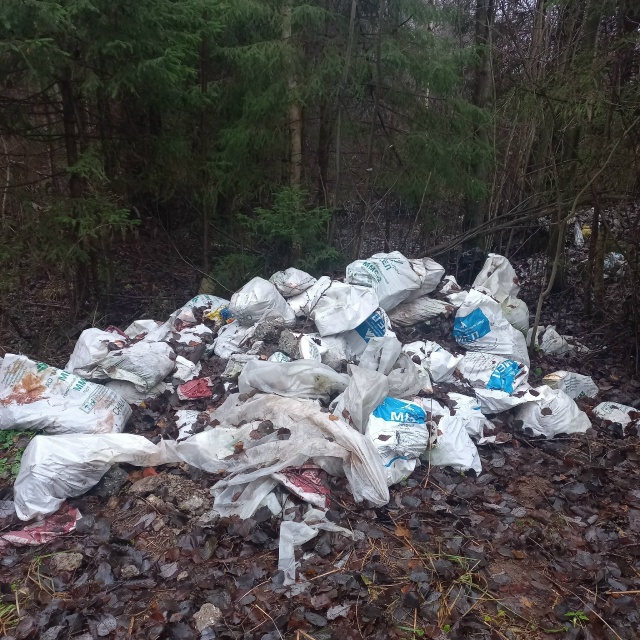 Весь лес в мусоре. Люди что творите. У себя в квартире т?...