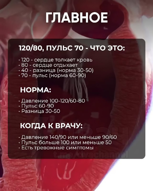 Старики немного за 20, внимание: в Сети собрали всё о давлении.
Если цифры на тонометре вам ни о чё