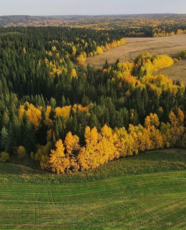 Все цвeта октября ❤💛💚