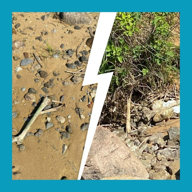 Двухлетний мальчик выкопал человеческие кости на пляж...