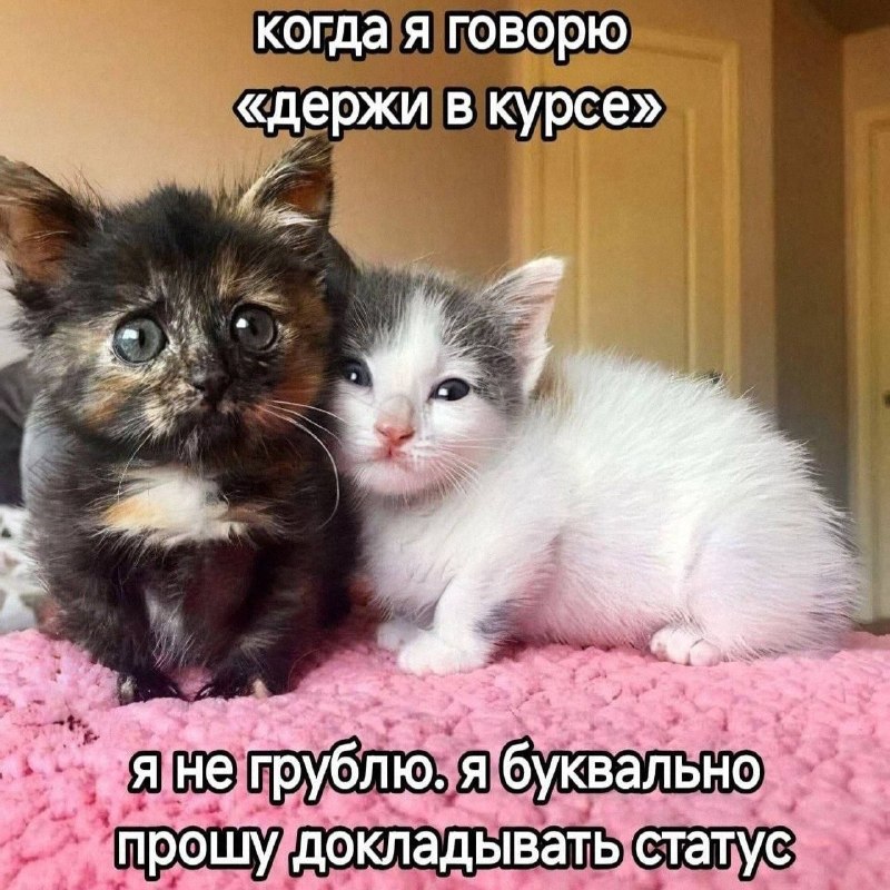 Утренняя подборочка