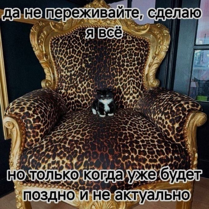 Ночная подборочка
Спать, режим