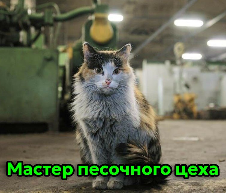 Сегодня отмечается День трудяги
Узнал себя?