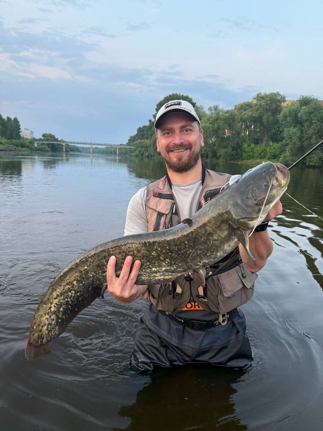 Поздравляем с уловом нашего подписчика. «Вот такие сом...