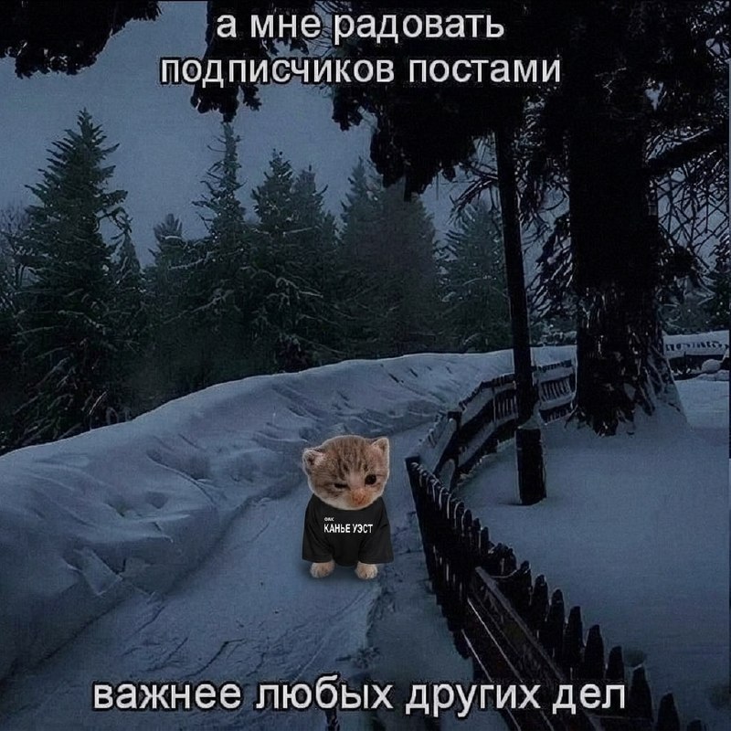 Ночная подборочка
Спать, режим