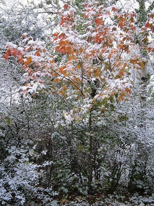 А снег идет, а снег ❄️ идёт!
Покрыты снегом тротуары.
З?...