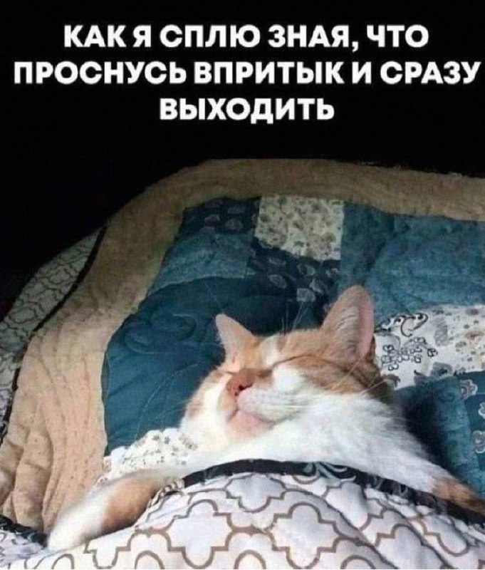 Утренняя подборочка