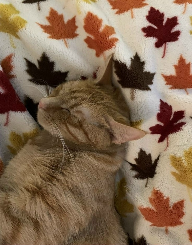 Главное, чтобы в душе было тепло и уютно, а какая погода...