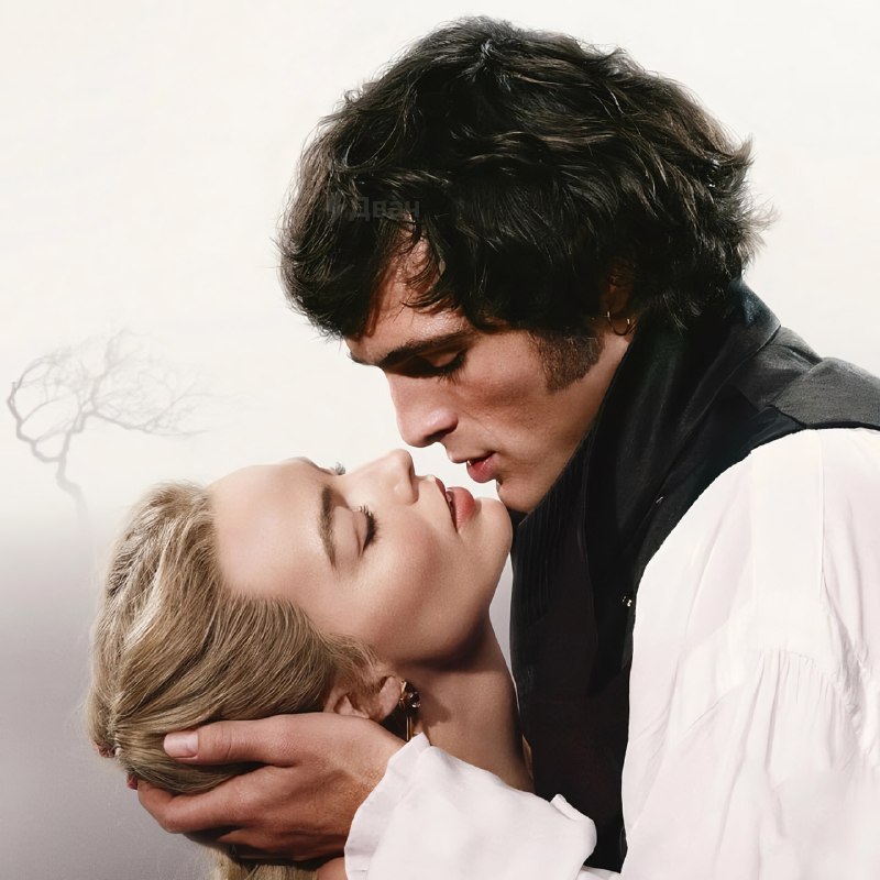 Ловите подборку годных фильмов и сериалов с высокими оценками зрителей и критиков
Все эти картины у