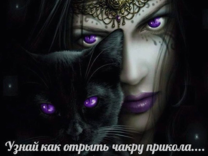 Ночная подборочка
Спать, режим