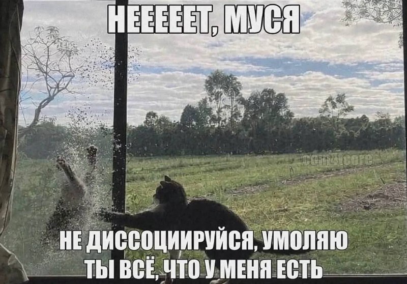 Бэлла со своими галлюнами, когда у нее полетела фляга после расставания с Эдвардом и она начала виде