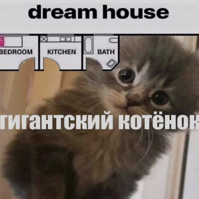 Ночная подборочка
Спать, режим