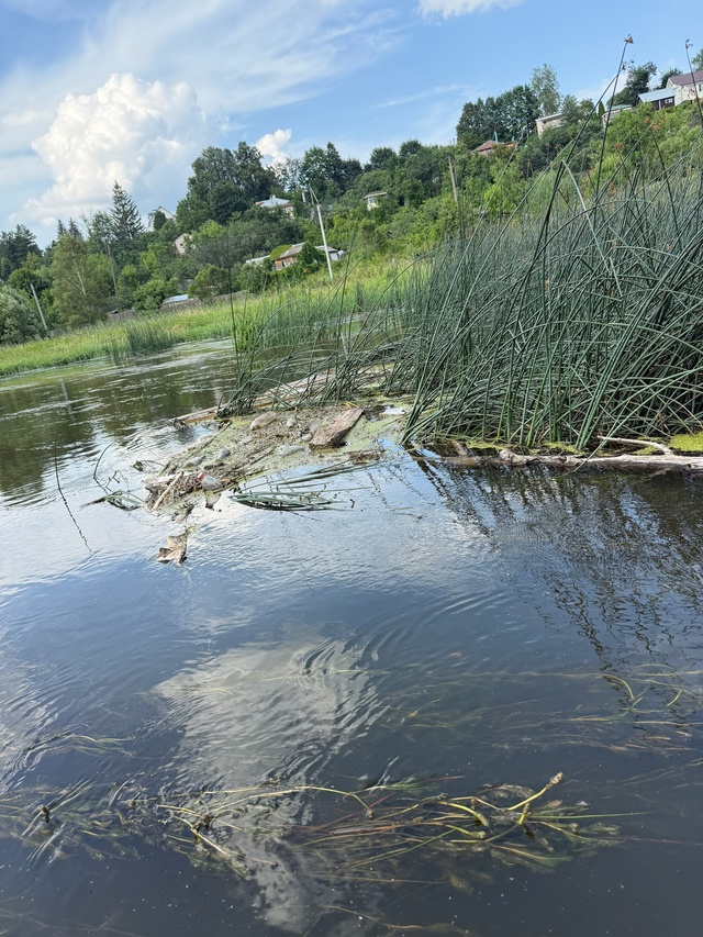 Рузский район , жемчужина Подмосковья, экологически чи...