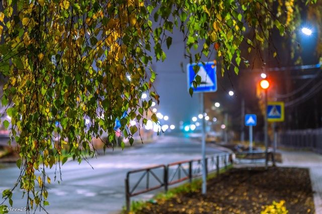 Туманная ночь в нашем прекрасном городе.
Пока все спят...