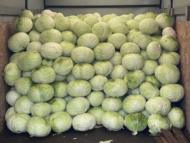 17 октября с 9:00 на площади у Мэрии состоится продажа зас...