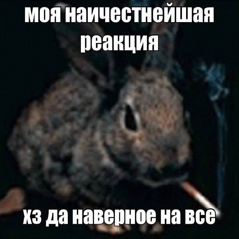 Утренняя подборочка
